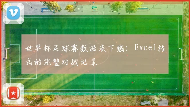 世界杯足球赛数据表下载：Excel格式的完整对战记录