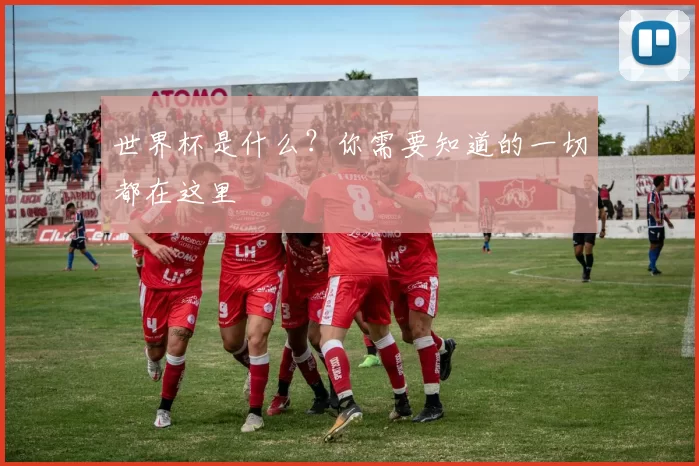 世界杯是什么？你需要知道的一切都在这里