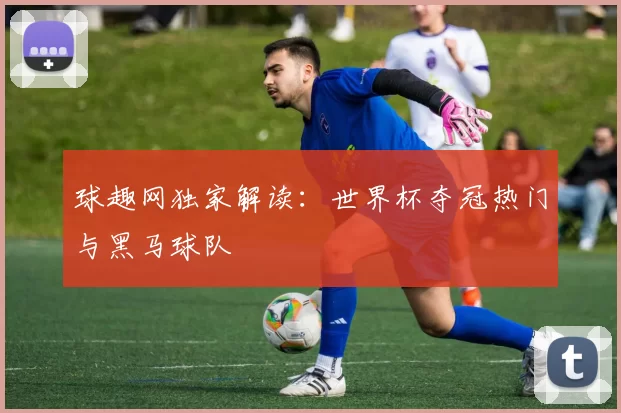 球趣网独家解读：世界杯夺冠热门与黑马球队
