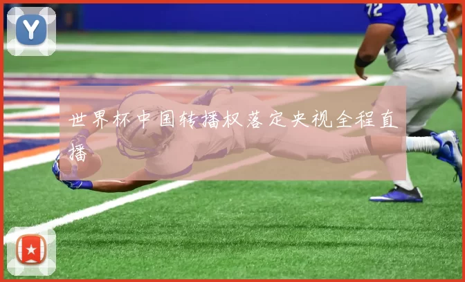 世界杯中国转播权落定央视全程直播