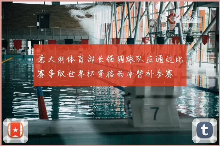 意大利体育部长强调球队应通过比赛争取世界杯资格而非替补参赛
