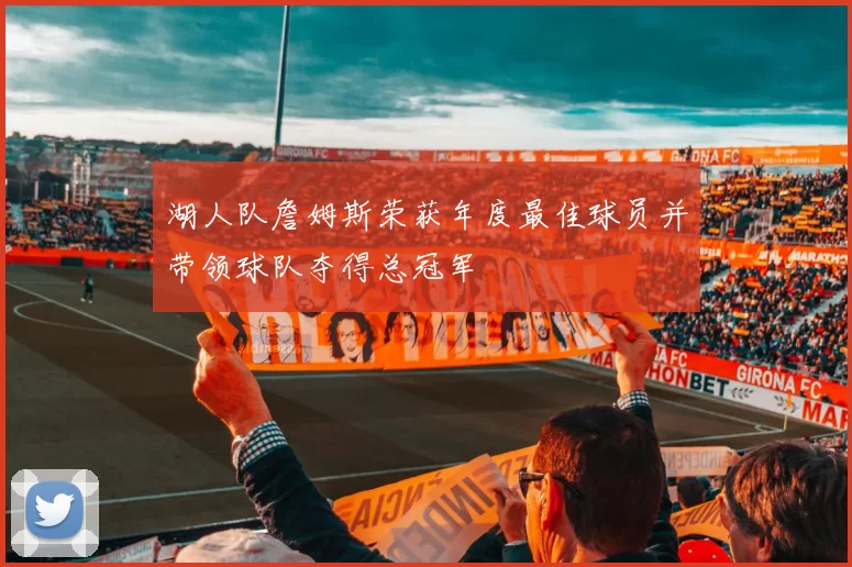 湖人队詹姆斯荣获年度最佳球员并带领球队夺得总冠军