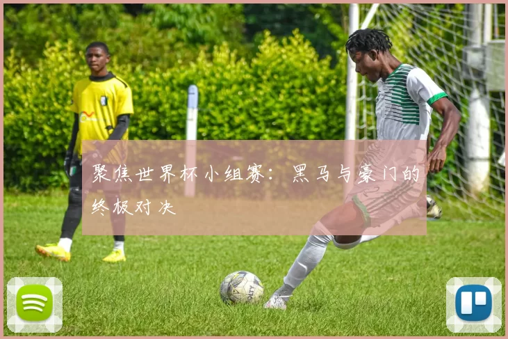 聚焦世界杯小组赛:黑马与豪门的终极对决