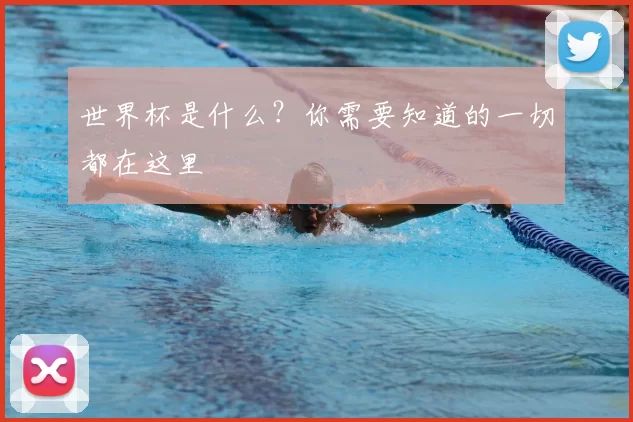 世界杯是什么？你需要知道的一切都在这里