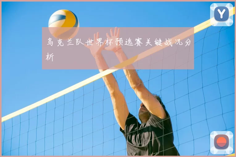 乌克兰队世界杯预选赛关键战况分析