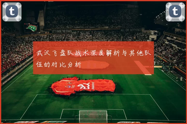 武汉飞盘队战术深度解析与其他队伍的对比分析