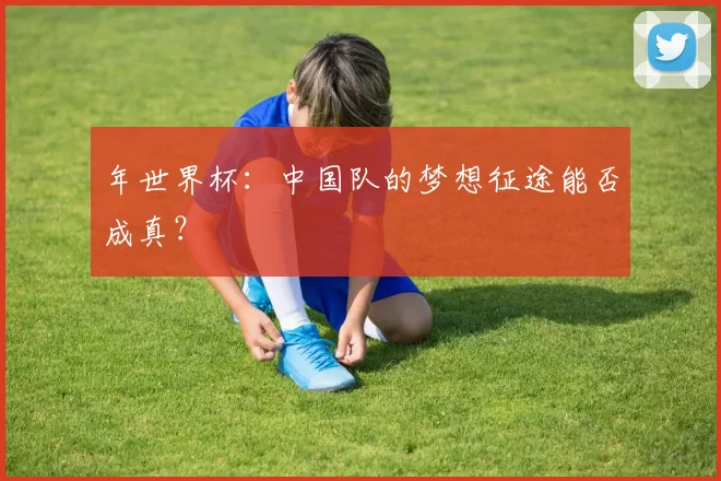 年世界杯：中国队的梦想征途能否成真？