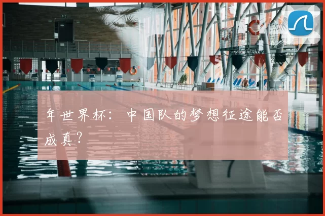 年世界杯：中国队的梦想征途能否成真？