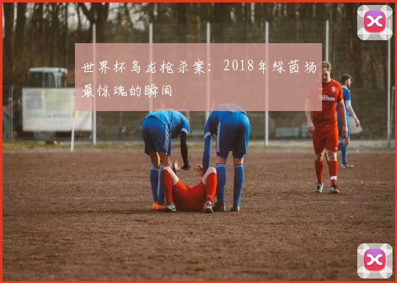 世界杯乌龙枪杀案：2018年绿茵场最惊魂的瞬间