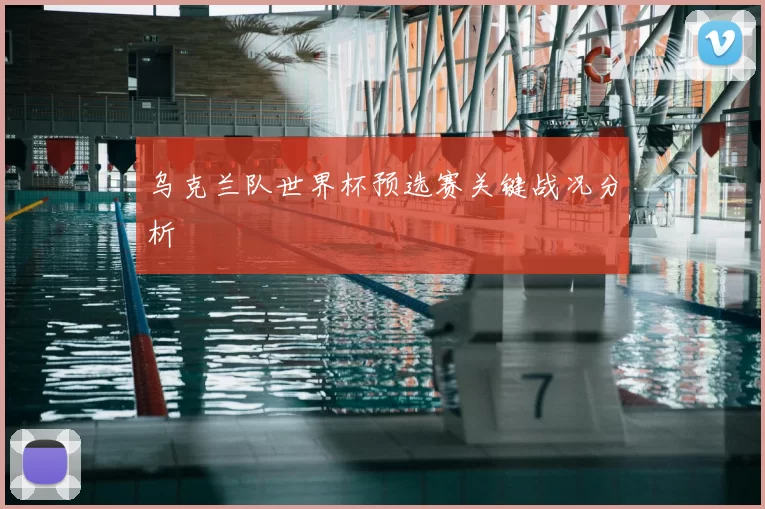 乌克兰队世界杯预选赛关键战况分析